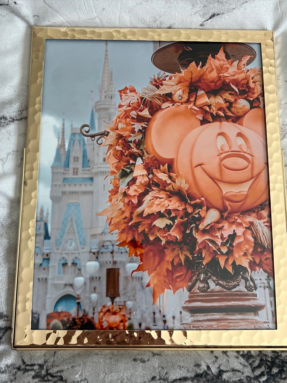 Disney | NWT Halloween Framed Print